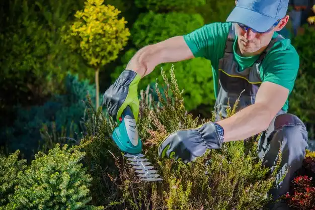 landscaping services Leitchfield